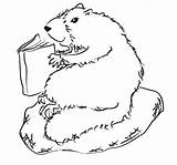 Marmot Coloring Pages Animals Animal Color Print Back sketch template