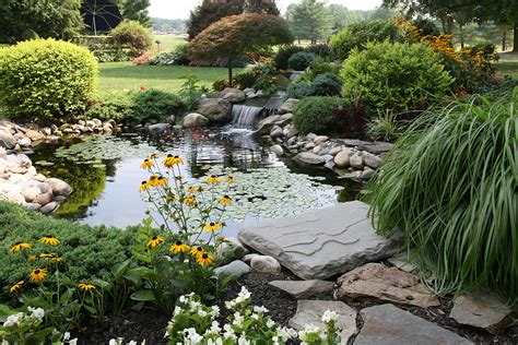 great plants  small backyard ponds