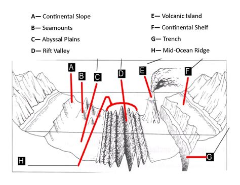 ocean floor diagram  label inspirational geologic landforms   ocean floor earth