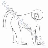 Baboon Draw Coloring Pages Tutorial Click Step sketch template