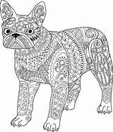 Bulldog Zentangle Colourbox sketch template