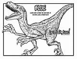 Velociraptor Blue Jurassic Drawing Draw Coloring Too Tutorial Subscribe Channel Enjoy Please If sketch template