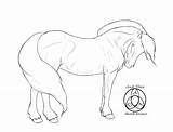Fjord Coloring Lineart Pages Horses Designlooter Deviantart Colouring Save 690px 75kb sketch template