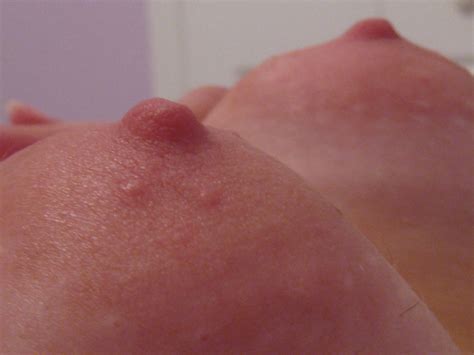 lick these nipples porn photo eporner