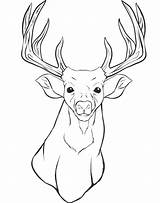 Deer Coloring Pages Head Printable Mule Buck Animal Drawing Silhouette Adult Whitetail Antler Red Outline Kids Clip Color Print Mount sketch template