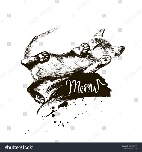 Cute Pussy Meow Lettering Inscription Hand Stock Vector Royalty Free