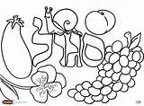Coloring Pages Shabbos Fruit Salad Challah Torah Hebrew Printable Color Colors Crumbs Archives Getcolorings Tots sketch template