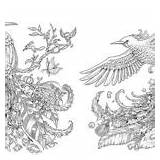 Coloring Animorphia Book Bird Rosanes Kerby sketch template