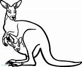 Kangaroo Coloring Drawing Zoo Pages Template Baby Printable Kids Face Getdrawings Wecoloringpage sketch template