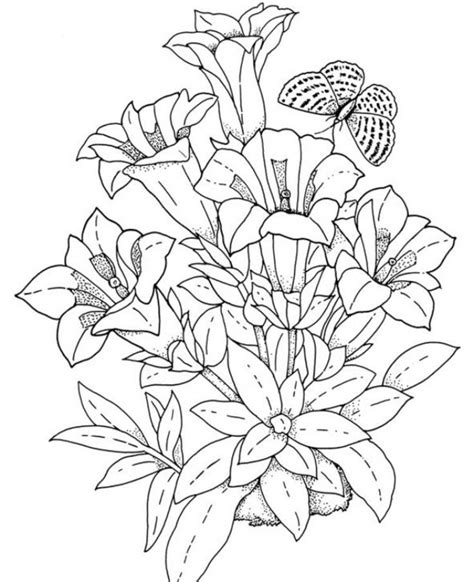 simple flower coloring pages  adults coloring book