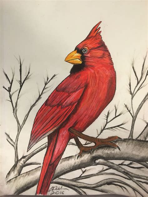 cardinal painting art projects painting art
