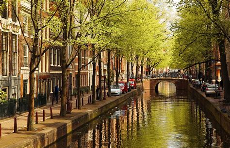 10 top rated tourist attractions in the netherlands planetware
