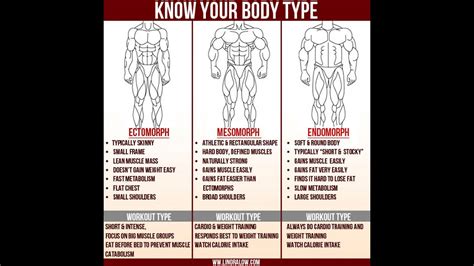mass building workout routines  ectomorphs eoua blog