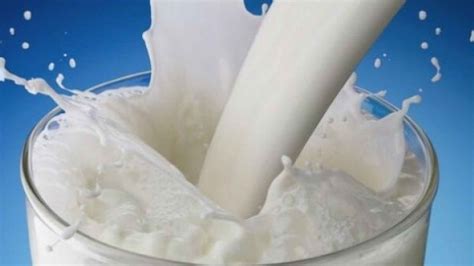 la lecheria doly silvia la importancia de la leche