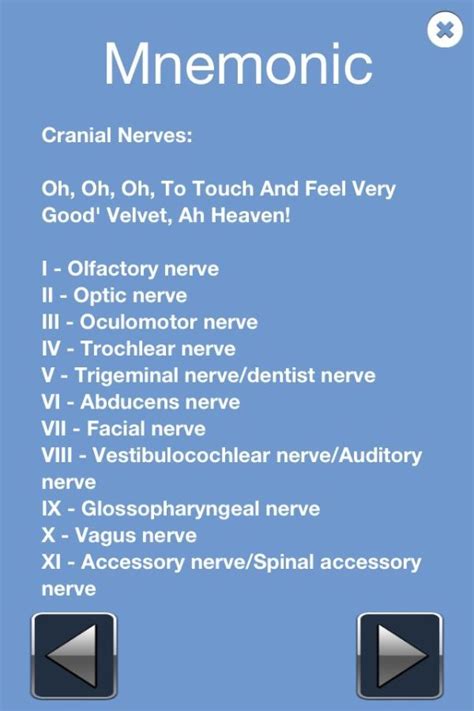 cranial nerves mnemonic  angel radiology pinterest cranial