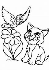 Kitten sketch template
