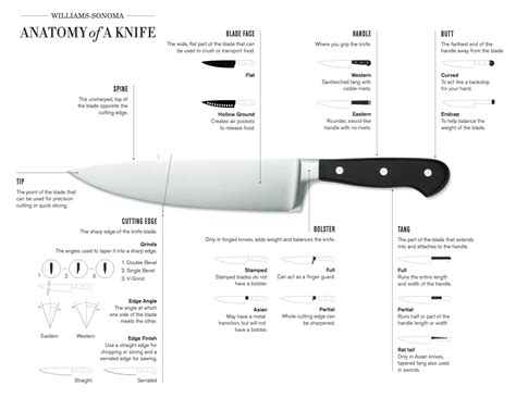 anatomy   knife knife venture