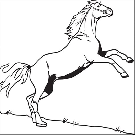 printable horse coloring page  kids  supplyme