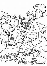 David Coloring Shepherd Pages Sheep Boy Shepherds Bible Angels Color Kids sketch template
