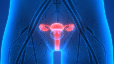 définition cancer de l ovaire futura santé