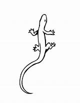 Lizard Printable Coloring Pages Kids Color Tattoo Outline Simple Colouring Gecko Print Coloring4free Reptile Clipart Crawling Flying Cute Realistic Library sketch template