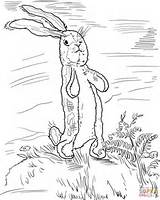 Rabbit Velveteen Coloring Pages Drawing Supercoloring Printable Color Silhouettes sketch template