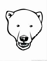 Bear Polar Face Coloring Pages Drawing Head Template Teddy Easy Cola Color Cub Coca Printable Outline Print Getcolorings Getdrawings Lrg sketch template