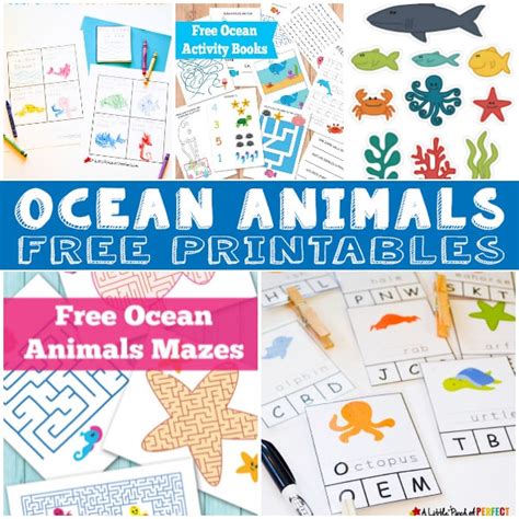ocean animal printables  kids itsy bitsy fun