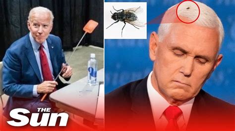 Fly Stuck On Mike Pence’s Head During Vp Debate Youtube