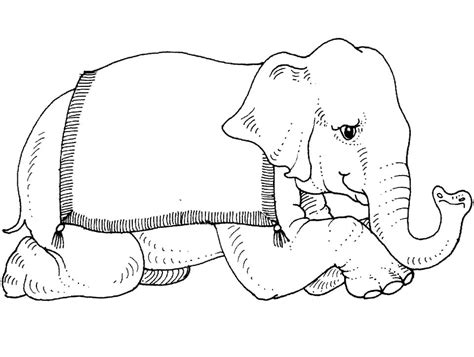baby elephant  flower coloring page  printable coloring pages
