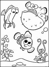 Nemo Finding Pages Coloring Printable Crush Squirt Getcolorings Color sketch template