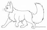 Warrior Cat Coloring Pages Walking Lineart Cats Drawing Outline Print Color Couple Kids Deviantart Draw Deviant Getdrawings Coloringtop sketch template