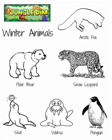animals  winter worksheet  winter animal  printable coloring