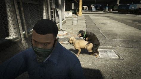 Of Course There S A Website For Grand Theft Auto V Selfies 10 Photos