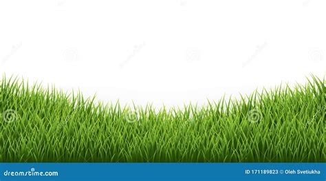 green grass border set  white background vector illustration stock