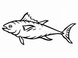 Tuna Fish Coloring Pages Printable Kids sketch template