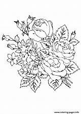 Coloring Flower Roses Beautiful Pages Rose A4 Printable Flowers Color Parentune sketch template