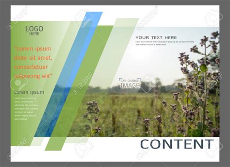 abstract brochure  flowers  grass   background