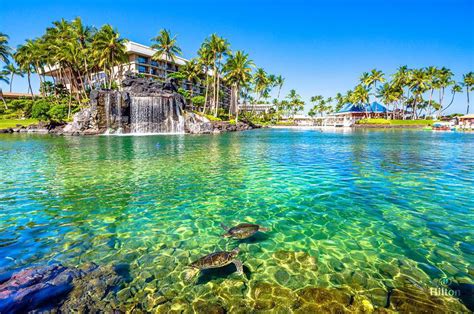 love  place hilton waikoloa village resort hawaii hotels