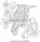 Kookaburra Kingfisher Bird Blossoming Zentangle sketch template