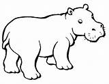 Hippo Hippopotamus Nilpferd Flusspferd Ausdrucken Disegni Supercoloring Ausmalen Ippopotami Ausmalbild Hipopotamos Junges Zeichnung Kostenlos Clipartbest Malvorlagen Hippopotame Bambini Mammiferi Clipartmag sketch template