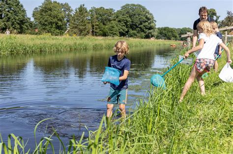 campingplatz mit animation de twee bruggen