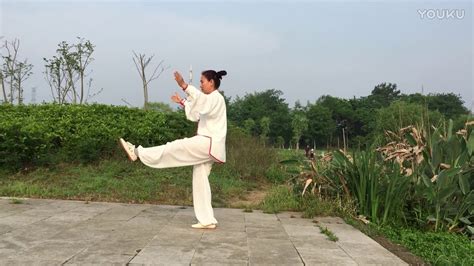 authentic wu style taijiquan  form youtube