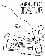 Coloring Pages Silhouettes Polar Cub Bear Drawing sketch template