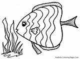 Rainbow Fish Coloring sketch template