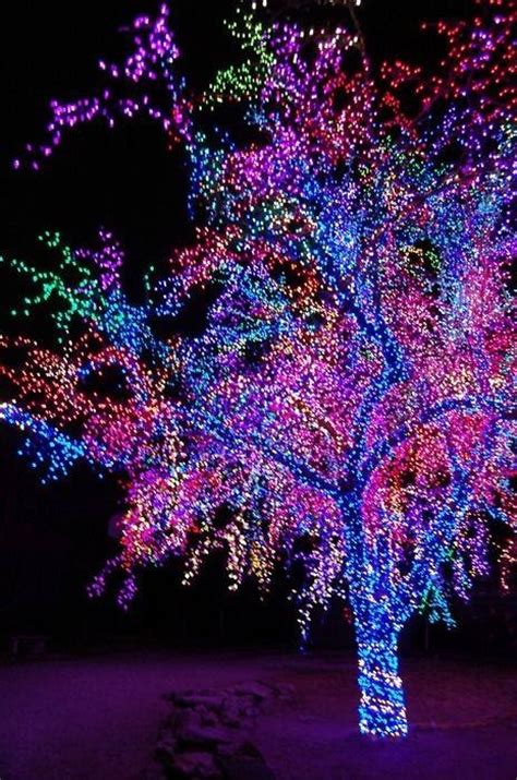 beautiful colorful christmas tree pictures   images