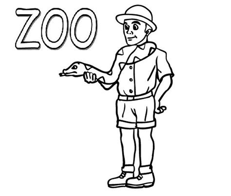 zoo images  pinterest kids net coloring  printable
