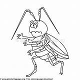 Cockroach Getcoloringpages sketch template