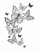 Farfalle Flowers Artistiche Contorno Volo Bianco Fondo Downloadable sketch template