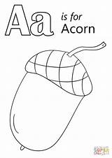 Coloring Acorn Pages Letter Printable Color Sheet Getcolorings Template Onlinecoloringpages sketch template